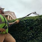 Кусторез телескопический Greenworks PH662T 82V (51см) аккумуляторный, без АКБ и ЗУ