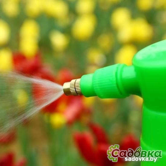 Компрессорный Deko DKSP05 065-0937 3 л