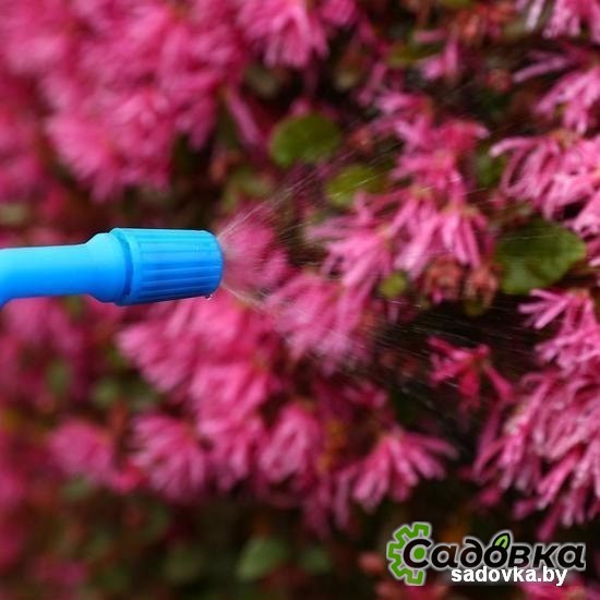 Ручной опрыскиватель Deko DKSP08 065-0940