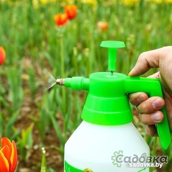 Компрессорный Deko DKSP03 065-0935 1.5 л