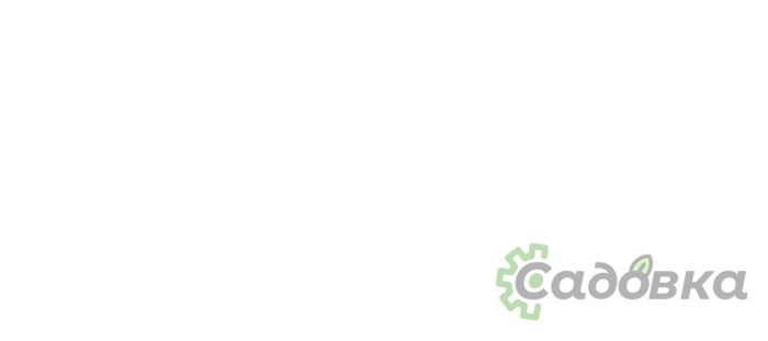 Триммер Champion T528S-2