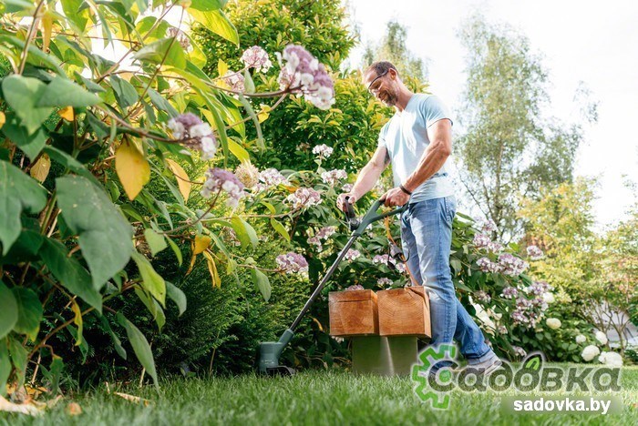 Триммер Bosch EasyGrassCut 26 06008C1J00