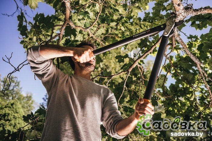 Сучкорез Fiskars PowerGear L77 1000583