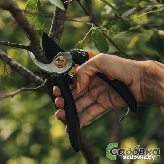 Секатор Fiskars Solid P321 1057162