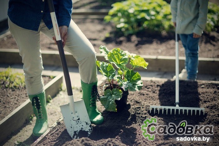 Грабли зубчатые Fiskars Light 1019608