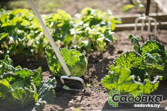 Вилы Fiskars Light 1019603