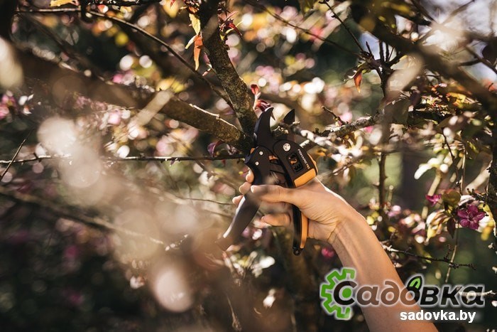 Секатор Fiskars PowerStep P83 1000575