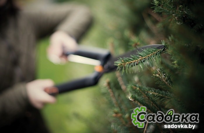 Ножницы садовые Fiskars SingleStep HS22 1001433