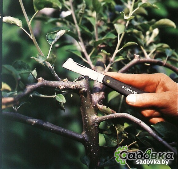 Нож для прививки Fiskars Solid K60 1001625