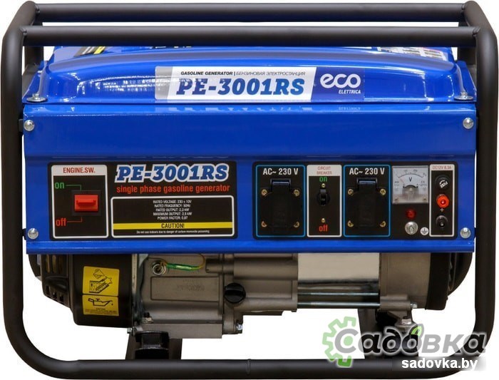Бензиновый генератор ECO PE-3001RS