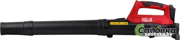 Ручная воздуходувка Wortex BB 2018 D ALL1