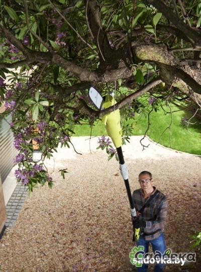 Кусторез RYOBI RP750450