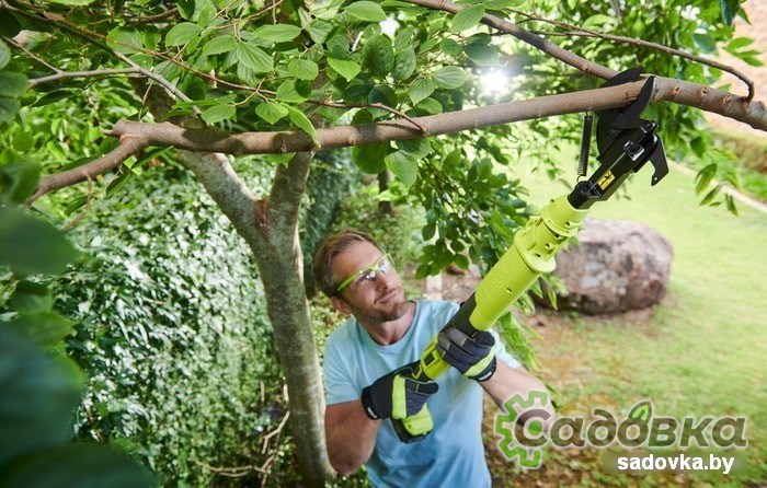 Секатор RYOBI OLP1832BX (без АКБ)