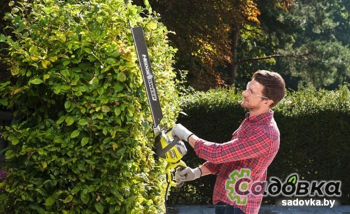 Кусторез RYOBI RHT8165RL