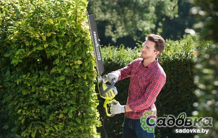 Кусторез RYOBI RHT8165RL