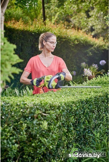 Кусторез RYOBI RHT4550 [5133002793]
