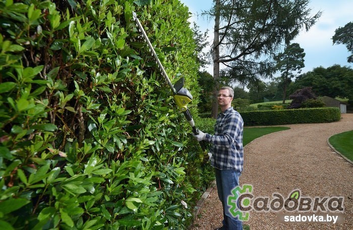 Высоторез RYOBI OPT1845 (без АКБ)