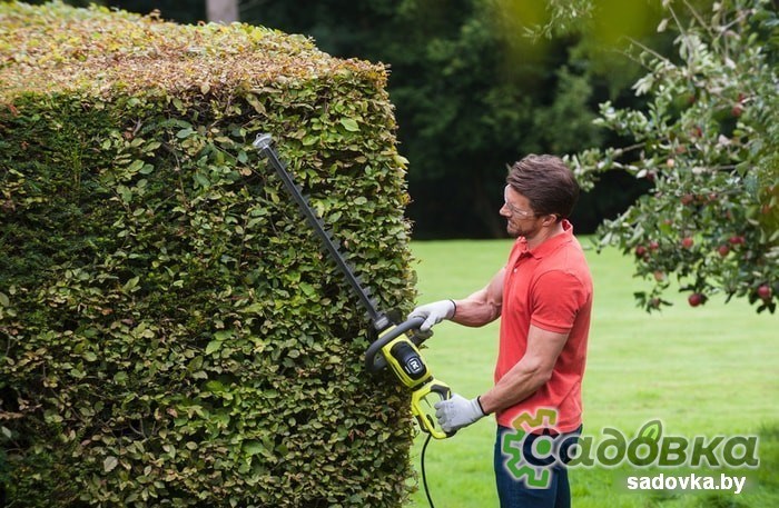 Кусторез RYOBI RHT6160RS