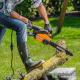 Электрическая пила Worx WG303E