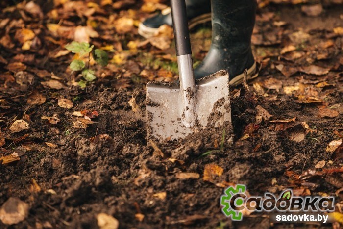 Лопата штыковая остроконечная Fiskars Ergonomic 1001568