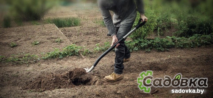 Лопата совковая Fiskars Ergonomic 1001411