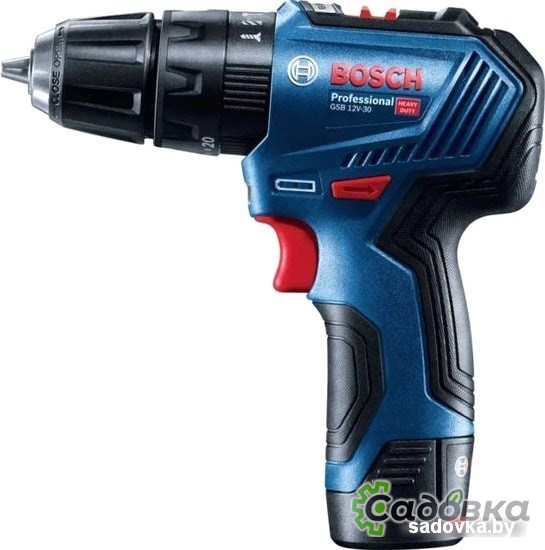 Дрель-шуруповерт Bosch GSB 12V-30 Professional 06019G9100 (с 2-мя АКБ, кейс)