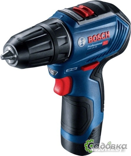 Дрель-шуруповерт Bosch GSR 12V-30 Professional 06019G9000 (с 2-мя АКБ, кейс)