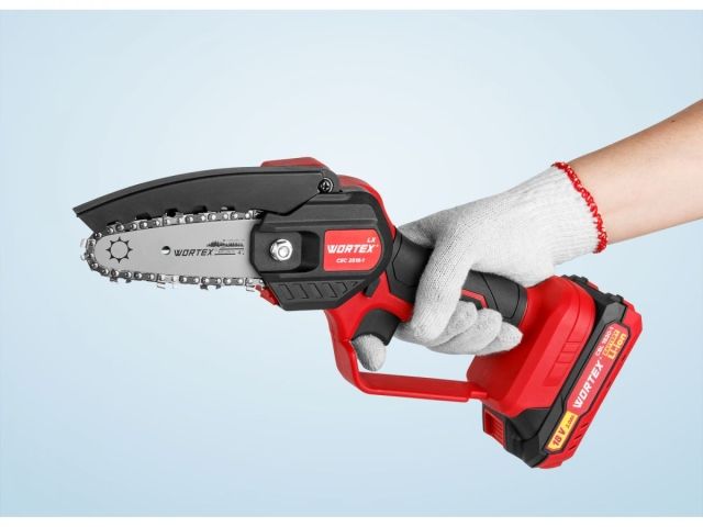 Аккум. мини-пила WORTEX LX CEC 2518-1 в чем. ALL1 XLT с акб и з/у SET 18В, 4