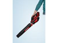 Аккум. воздуходувка WORTEX BB 2018 D ALL1 XLT SET 18 В, 2 Ач акб, макс.объём 570 м куб/ч (1333739)