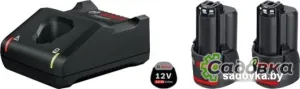 Аккумулятор с зарядным устройством Bosch GBA 12V + GAL 12V-40 Professional 1600A019R8 (12В/2 Ah + 12В)