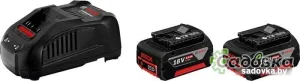 Аккумулятор с зарядным устройством Bosch 1600A00B8J (18В/5 а*ч + 14.4-18В)