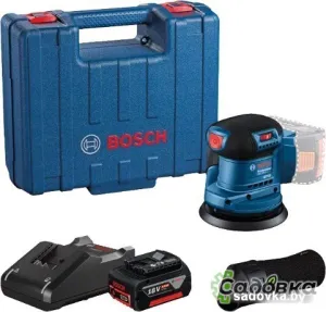 Эксцентриковая шлифмашина Bosch GEX 185-LI Professional 06013A5021 (с 1-м АКБ, кейс)