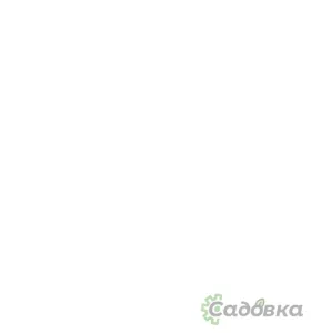 Дрель-шуруповерт Total TDLI20028 (с 2-мя АКБ, кейс)