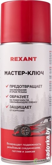 Rexant Мастер-ключ 520мл 85-0053-1
